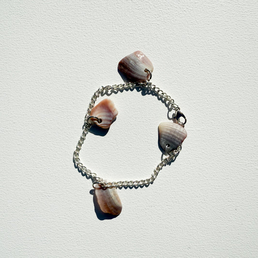 Coastal Shell Chain Bracelet - Mr. Bumble